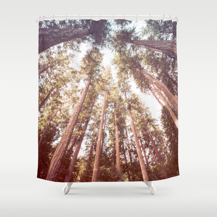 Forest Sky Shower Curtain