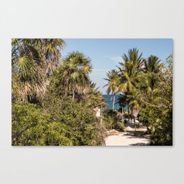 Beach Jungle Canvas Print