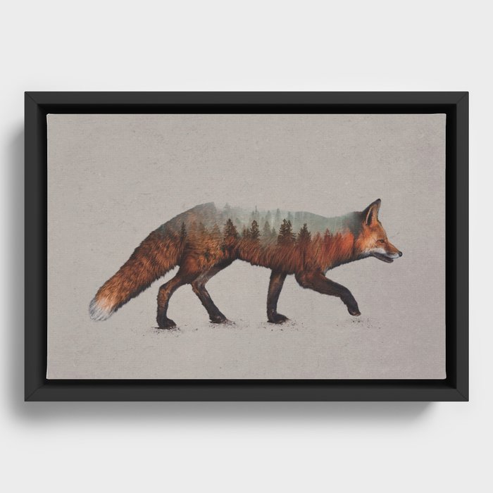 Framed Canvas