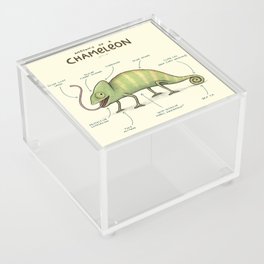 Anatomy of a Chameleon Acrylic Box