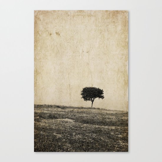 lonely tree Canvas Print