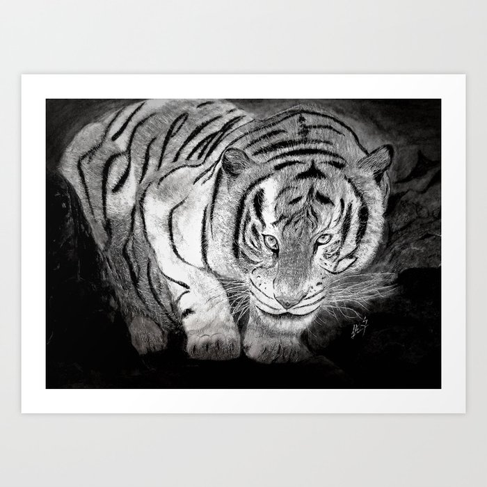 Tiger Gaze Art Print Art Print