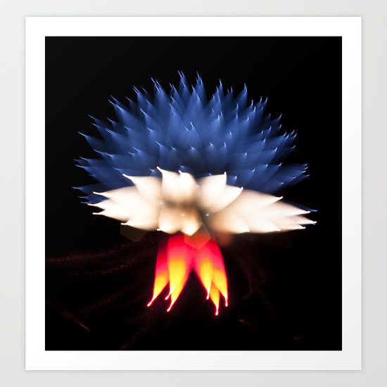 Efflorescence 30 Art Print