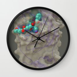 SARS-Cov-2 Main Protease Inhibitor - Global Wall Clock
