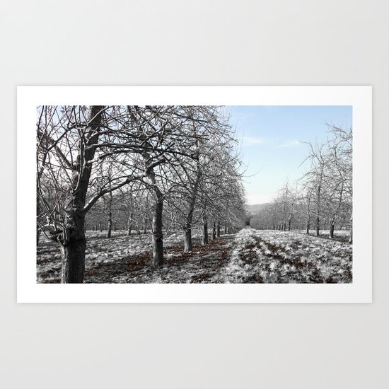 the smell of leaf mould and the sweetness of decay... Art Print
