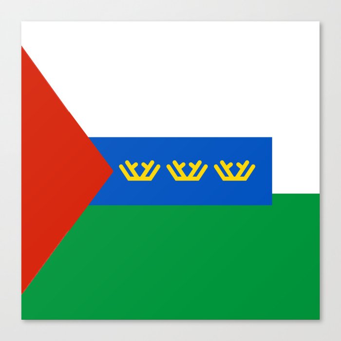 flag of Tyumen Canvas Print