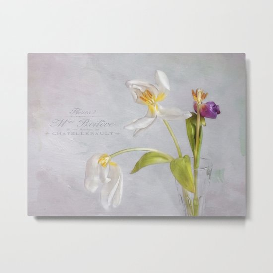tulips in their prime of life Metal Print