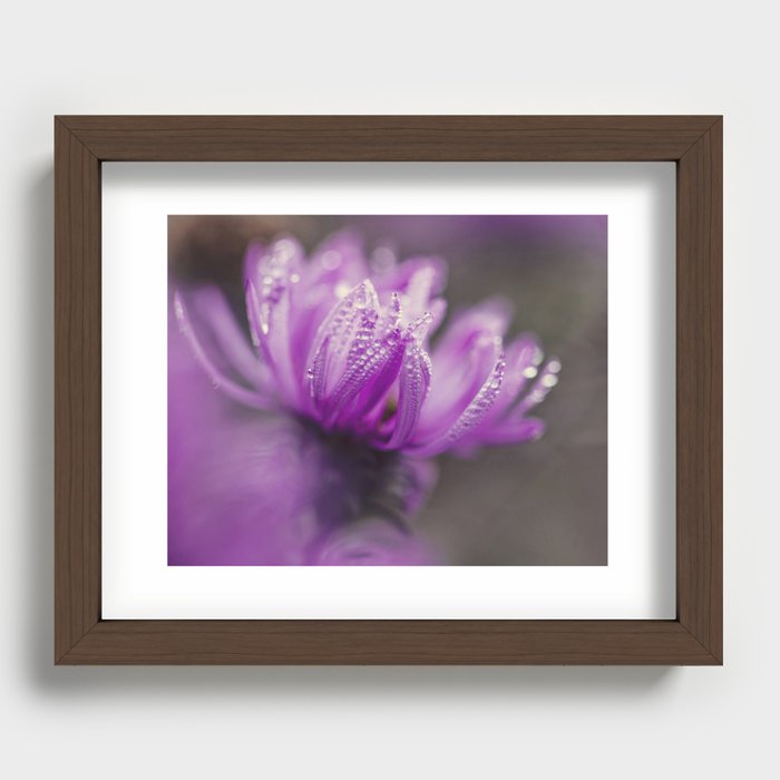 aster and dew Recessed Framed Print