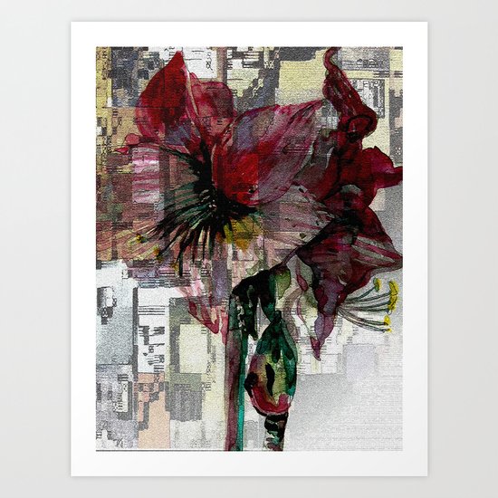Amaryliss Art Print