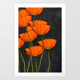 Poppies orange Art Print