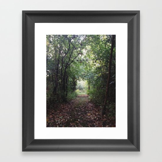 Natures Path Framed Art Print