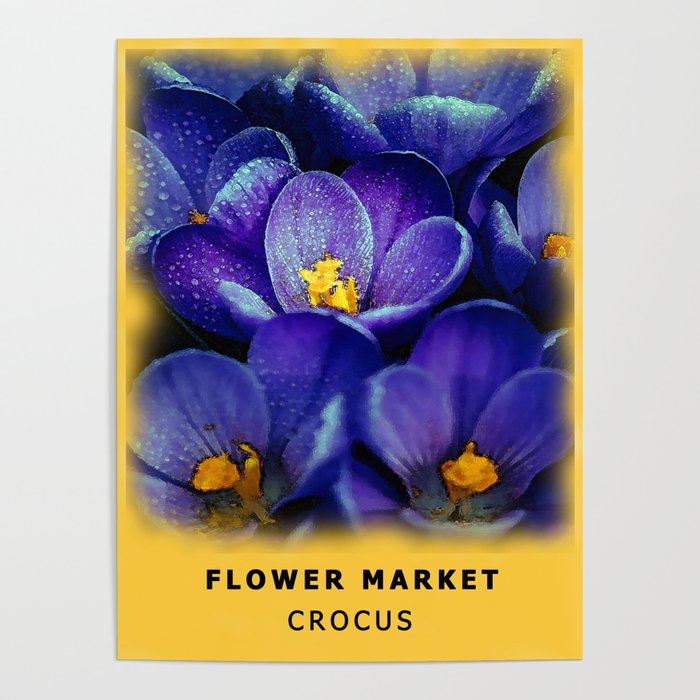 Purple Crocus Flower Market  Poster