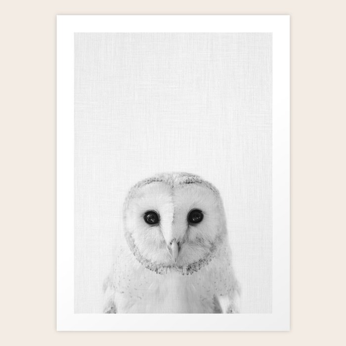 Owl Art Print by Tai Prints Society6