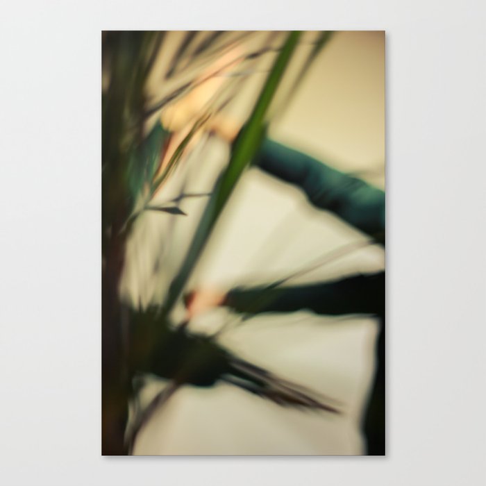 [12] Blurred hands with plants, dancers Canvas Print