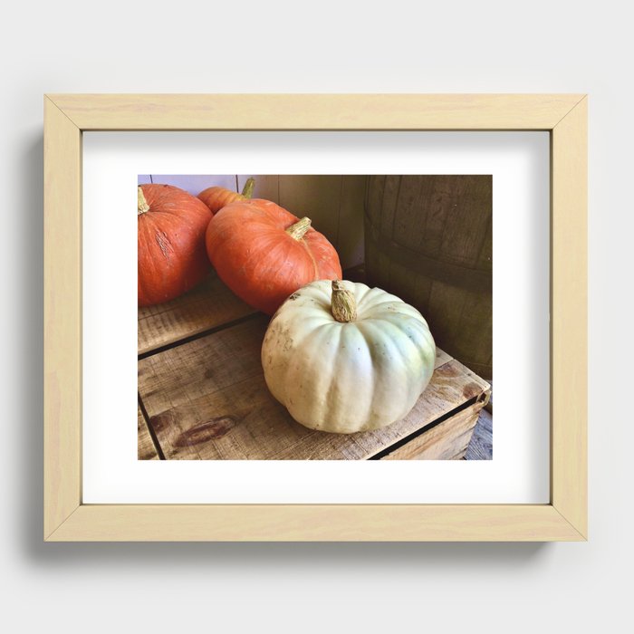 More Pumpkins in New Hampshire Recessed Framed Print