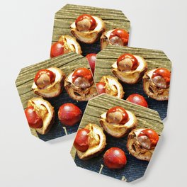 GROUP OF SHINY CONKERS FROM HORSE CHESTNUT TREE Coaster