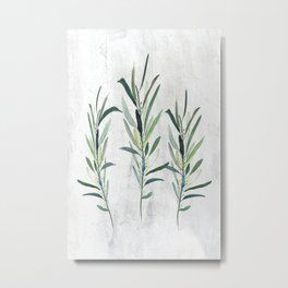 Eucalyptus Branches Metal Print | Minimalism, Eucalyptus, Twig, Scandi, Digital, Greenery, Simple, Delicate, Foliage, Leaf 