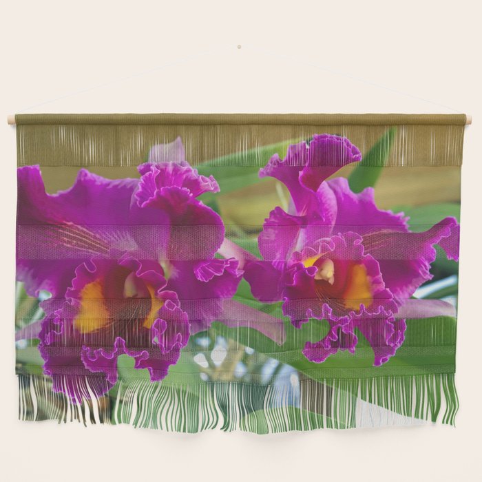 Frilly Orchids Wall Hanging By Alanathrower - Hanging Orchids On Walls Frilly Orchids Wall Hanging By Alanathrower - Hanging Orchids On Walls