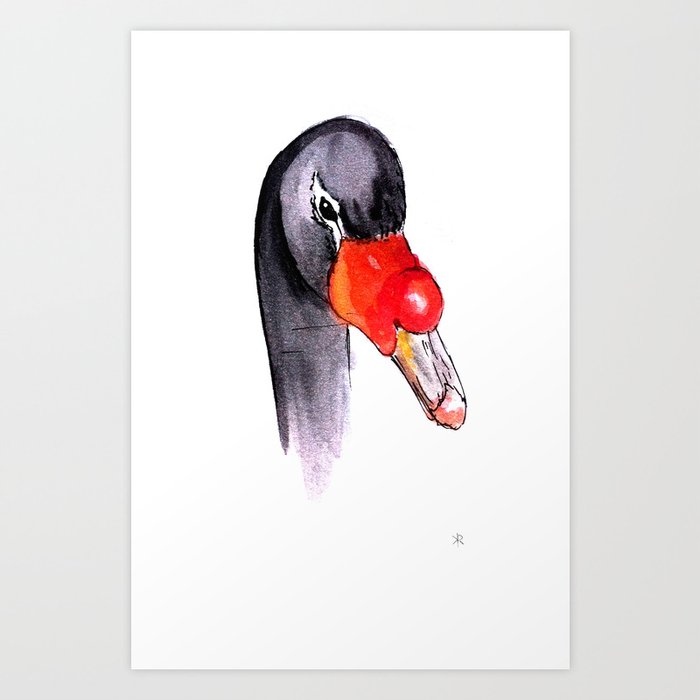 Black Neck Swan Art Print