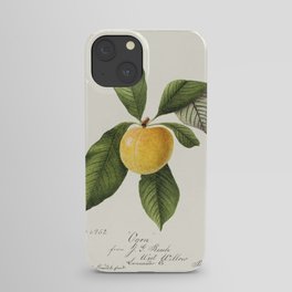 Plum (Prunus Domestica) (1894) by William Henry Prestele. iPhone Case
