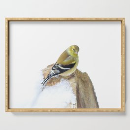 Snow, Snow, Snow! American Goldfinch on a Snowy Log Serving Tray