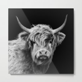 Highland Cow Black And White Metal Print