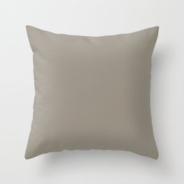 Sherwin Williams Trending Colors of 2019 Felted Wool (Gray Taupe) SW 9171 Solid Color Throw Pillow