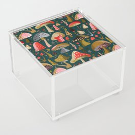 Mushroom Collection – Teal Acrylic Box