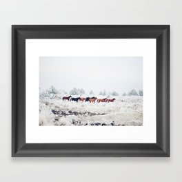 Winter Horse Herd Framed Art Print