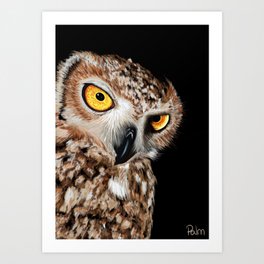 Wise Owl Art Print