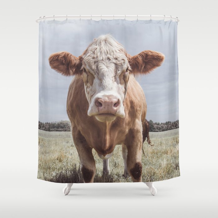 Animal Photography Cow Portrait Farm Animals Shower Animal Photography Cow Portrait Farm Animals Shower Curtain By Wildhood Society6