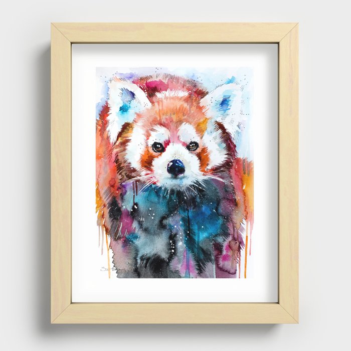 Red panda Recessed Framed Print