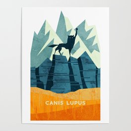 Canis Lupus: What a beautiful creature. I have a Phobia of Wolves. Poster