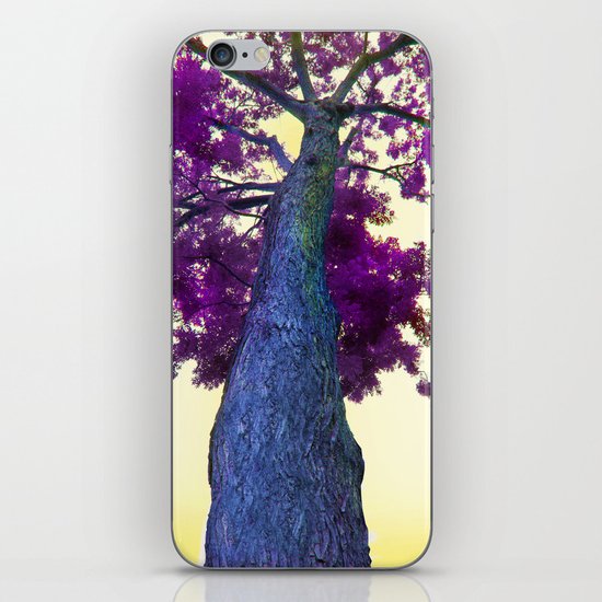blue tree iPhone & iPod Skin