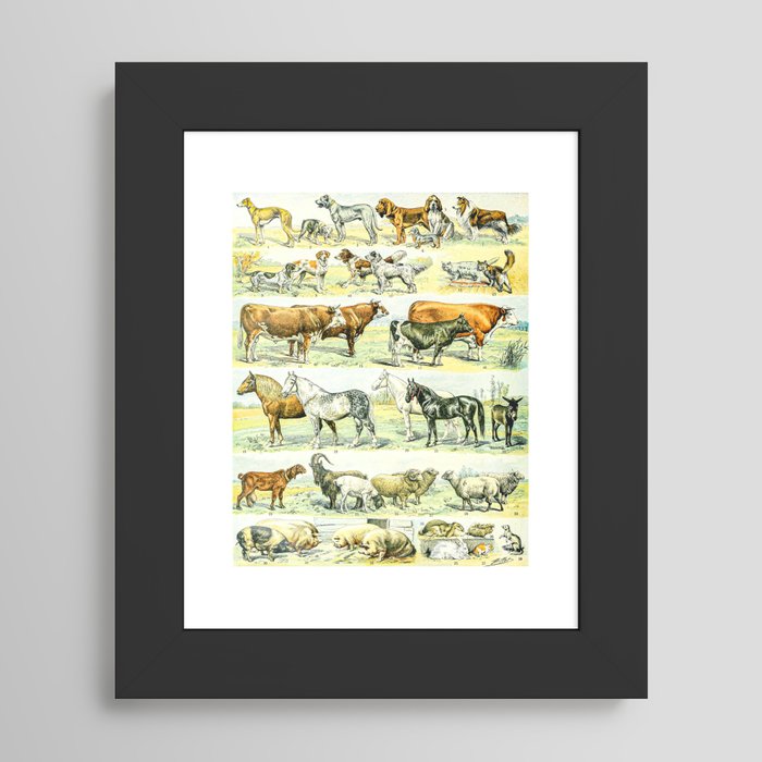 Framed Art Print