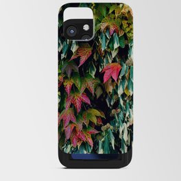 Carnival of fall colors | Variegated colorful leaves | Autumn season coming to its end iPhone Card Case