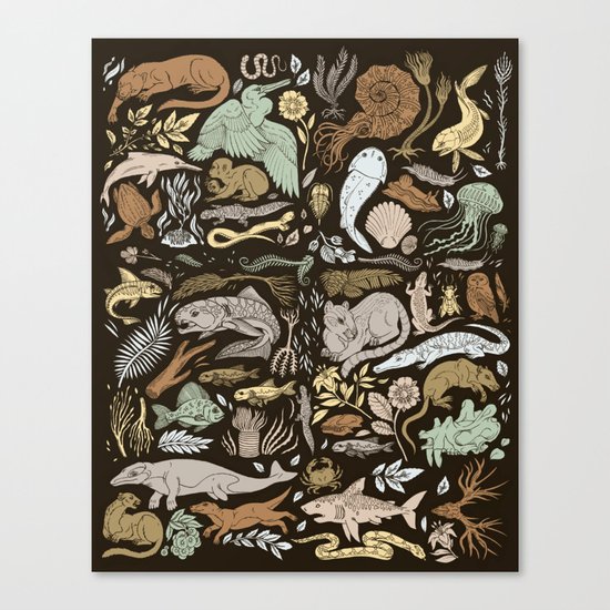 Flora & Fauna Canvas Print
