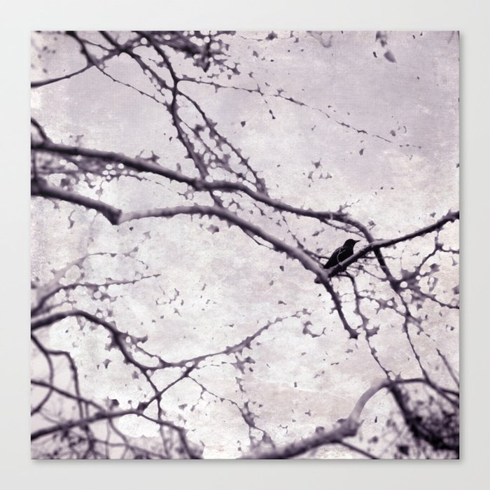 Winter Crow Canvas Print