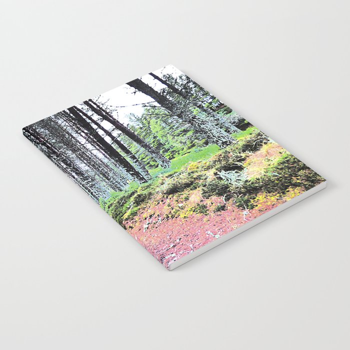 Scottish Highland's Winter's Forest Walk in I Art and Afterglow Notebook