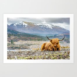 Hairy Higland Cow - A cute and fluffy gift for a Scotland lover Art Print | Graphicdesign, Highland, Cute, Blackandwhite, Highlander, Bovine, Cattle, Animal, Highlandcattle, Bull 