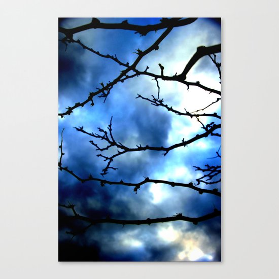 Storm Warning Canvas Print