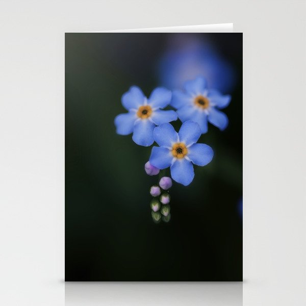 Forget Me Not Stationery Cards