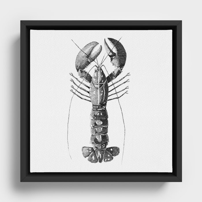 Lobster deep in the sea Framed Canvas