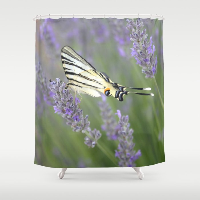 Swallowtail Sideview Amongst Lavender Spikes Photograph Shower Curtain