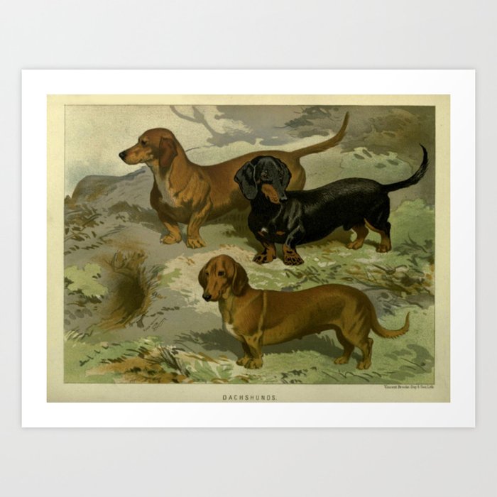 Art Print
