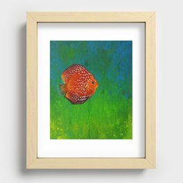 Discus Fish Recessed Framed Print