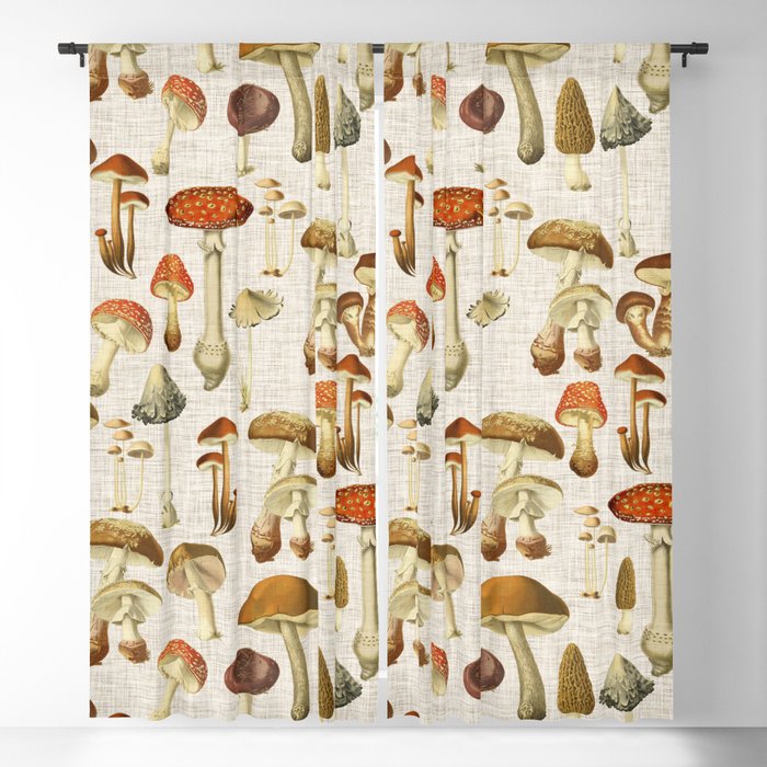 Blackout Curtain