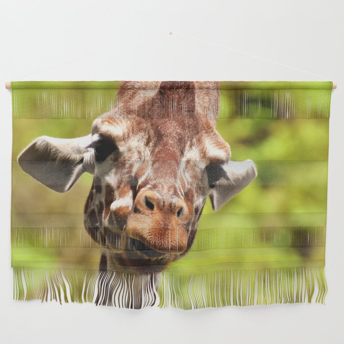 South Africa Photography - Giraffe Smiling Wall Hanging