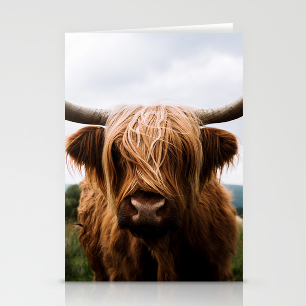Painting Scottish Highland Cow Bull Horns Cool Blank Greeting Card With Envelope 