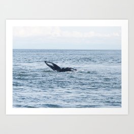 Humpback Whale Nature Photography No. 7 Art Print